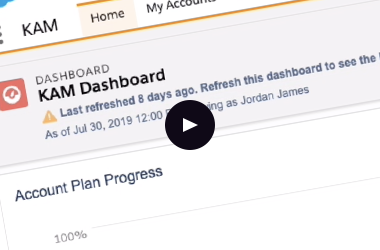 Veeva CRM's Dashboards